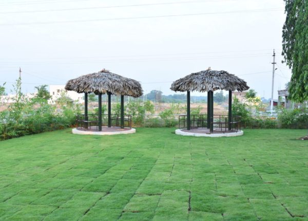 JPG_6458-1170x600